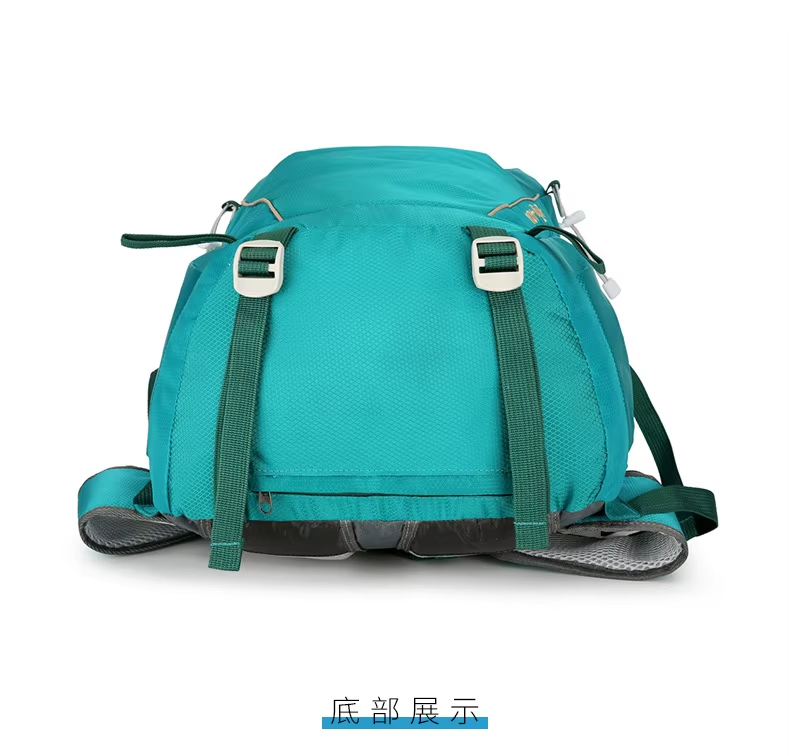 Hiking Bag