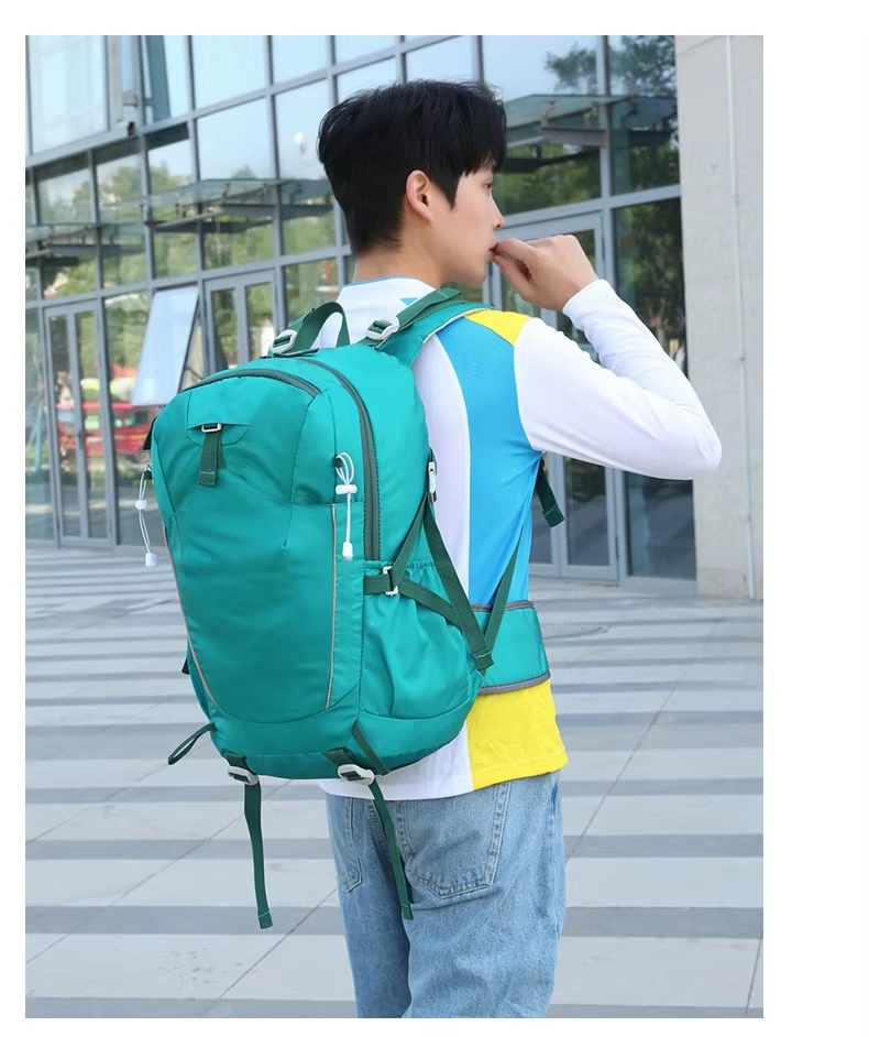 Hiking Bag