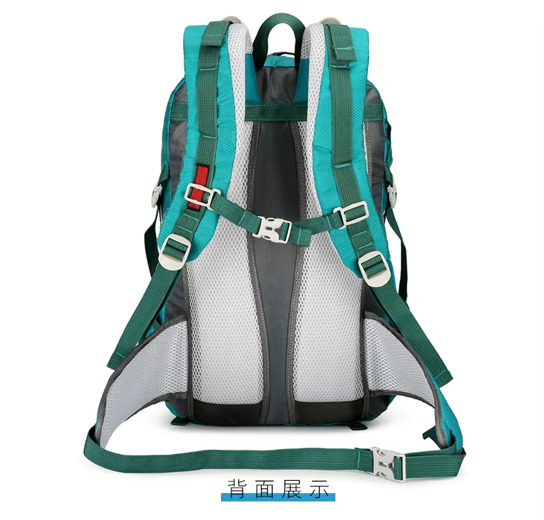 Hiking Bag